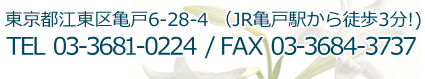 東京都江東区亀戸6-28-4(JR亀戸駅から徒歩3分) TEL:03-3681-0224 / FAX:03-3684-3737